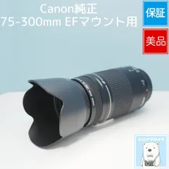 Canon純正 75-300mm EFマウント用 望遠レンズ 美品 a6648のサムネイル