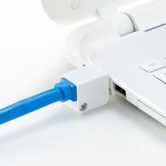 サンワサプライ SLE-12SN LANポートロック 2個セット - メルカリ