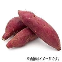 紅はるか 苗 500本 さつまいも 茨城県ひたちなか産 野菜 - メルカリ