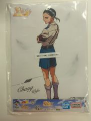 BANDAI SPIRITS 이치 반 쿠지 신기동 전기 건담 W 30th Anniversary G상 장 고비 클리어 포스터 G-5