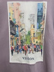 VISION STREET WEAR アートプリント バックプリント Tシャツ M 紫
