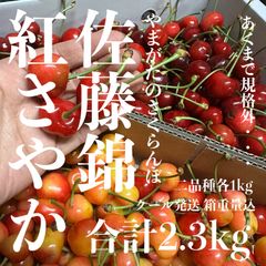 山形県産さくらんぼ佐藤錦2kg 訳あり完熟＊クール便 - メルカリ