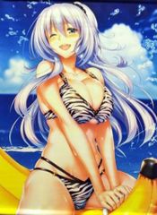 アマカノ 硯川・e・涙香 B2タペストリー 水着 美少女 ピロ水 グッズ M4 