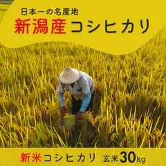 【新米】新潟県産「コシヒカリ」 玄米30kg  送料込みのサムネイル