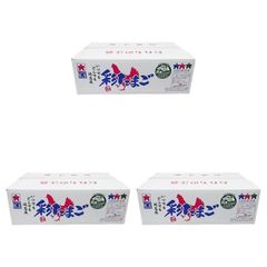 希少デッドストック】昭和レトロ 紙 1300枚セット 高松 常磐産業