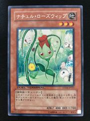 ナチュル・ローズウィップ DTC2-JP011 3枚　遊戯王 即購入可】遊戯王 ナチュル・ローズウィップ(DTC2-JP011) 1枚② - メルカリ
