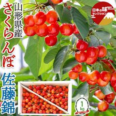 체리 사토 니시키 약 1kg 사토니시키 야마가타현산 ML사이즈 장미 포장 빨간 보석 체리 |