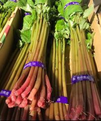 山菜 ミズ 600g 新潟県産 採れたて新鮮発送 - メルカリ