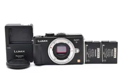 2026年最新】lumix gx1の人気アイテム - メルカリ