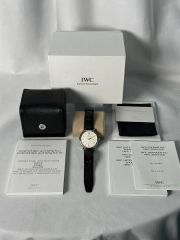 値下げ【レア】IWCマーク15 トリチウム＆お魚竜頭 パイロットウォッチ