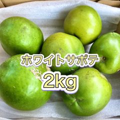 沖縄産 ブラックサポテ 9個 メルカリキャンペーン価格 - メルカリ