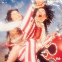 サマステライブ2024 A盤 DVD＆ フレッシュ！フレッシュフレッシュDVD