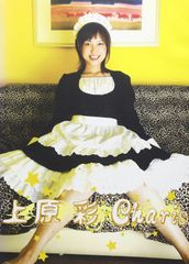 ☆新品未開封☆倉木麻衣DVD「感動的相遇！進！クーラッキーTOUR 」限定