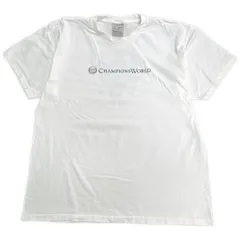 00年代 NIKE ナイキ CHAMPIONS WORLD Ｔシャツ サッカー スポーツ ホワイト(メンズ L)中古 古着 Y2570