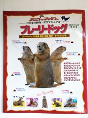 プレーリードック リチャードソンジリス ジリス 飼い方 - メルカリ