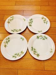 訳あり】TAITU タイツ食器 foglieシリーズプレート 5枚 - メルカリ