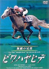 JRA ヒーロー列伝 ビワハヤヒデ B3ポスター 競馬 - メルカリ