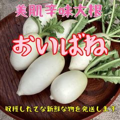 岡山県産にこまる玄米10kg(農薬・除草剤不使用) - メルカリ