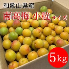 そうみ様 山梨県産 新鮮 中熟～完熟 小粒南高梅 5kg - メルカリ