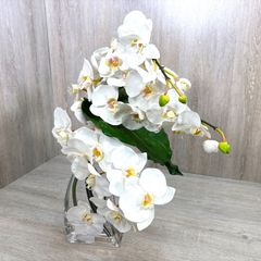EMILO ROBBA 胡蝶蘭 造花 ガラス花瓶付き インテリア - メルカリ