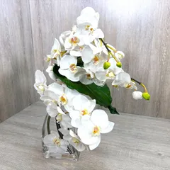EMILIO ROBBA エミリオロバ PHALAENOPSIS ファレノプシス 胡蝶蘭 造花 置物 インテリアのサムネイル
