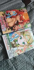 未開封) 前戯 サバイバル 