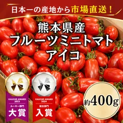 【市場直送！】熊本県産 アイコ ミニトマト 400g 野菜 青果 市場 フルーツ トマト とまと 訳あり トマト 大賞 受賞 ギフト 贈答 お歳暮のサムネイル