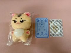 HOSHI様専用 SEVENTEEN ホシくん 10cm ぬい ポシェット付き - メルカリ