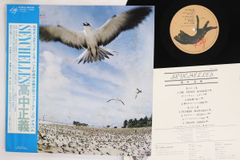 帯付きオリジナル盤 高中正義 SEYCHELLES レコード LP - メルカリ