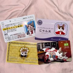 仕事猫nanaco カード - メルカリ