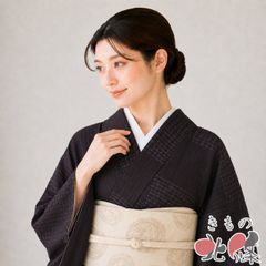 袋帯 未使用 正絹 カジュアル 仕立て上がり 六通 植物文様 黒色 多色 
