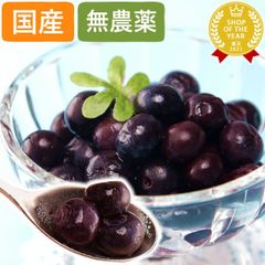 ①高級採れた新鮮ブルーベリー 希少大粒秀品 入荷日発送 2点のみ限定