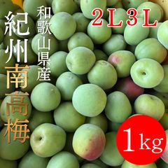 訳あり・送込 】和歌山産☆青梅3キロ☆サイズM～2L☆梅酒や梅