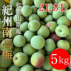 4Lサイズ 和歌山県産 紀州南高梅 色付き 箱込み5キロ 青梅 - メルカリ