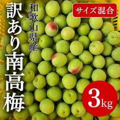 訳あり】紀州南高梅 青梅 5kg 家庭用梅仕事 - メルカリ