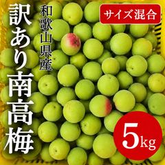 大分県産 青梅 5キロ＋α 6月6日（土）収穫 サイズはL以上 - メルカリ