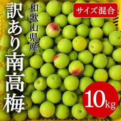 梅干し用☆規格外・傷物☆斑点多数☆無農薬☆紀州南高梅☆青梅10kg