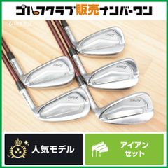 中空鍛造 飛距離性能◎】テーラーメイド P790 2023 アイアンセット 5