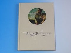 悲しき恋歌 DVD-BOX 2BOXセット 韓流ドラマ 字幕 吹替 - メルカリ