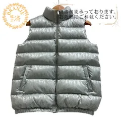 Christian Dior/クリスチャンディオール  1SBM21PUFF オブリーク 12 ナイロン ダウンベスト ブルー - ブランドのサムネイル