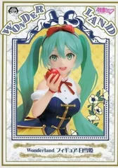 初音ミク 「キャラクター・ボーカル・シリーズ01 初音ミク」 Wonderland フィギュア 白雪姫【1週間以内発送】