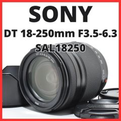 広角から望遠まで◇SONY DT 18-200mm F3.5-6.3◇1本で完結 - メルカリ