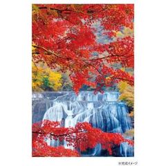 森田敏隆「屋久島 縄文杉」ジグソーパズル 1000ピース 未開封品 - メルカリ