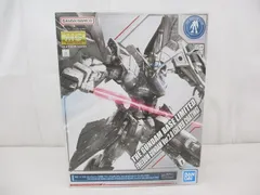  未組立 プラモデル MG 1/100 フリーダムガンダム Ver.2.0 シルバーコーティングのサムネイル