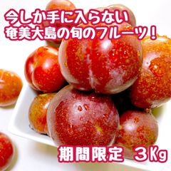 奄美大島 硬いすもも　6キロ 奄美大島 硬いすもも 6キロ - メルカリ