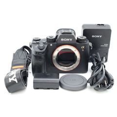 SONY α9II ILCE-9M2 本体 修復歴なし(シャッター31380回) - メルカリ