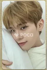 2024 SEASON'S GREETINGS Good Night MOOD LIGHTのサムネイル