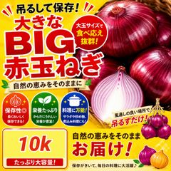 赤玉ねぎ S~Mサイズ 箱込み 20 キロ ビッグサイズ赤玉ねぎ 5kg 吊るして長期保存 - メルカリ