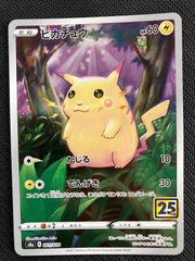 フクオカのピカチュウ P [SV-P 289](スペシャルBOX「ポケモンセンター
