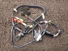 XLR250 バハ メインハーネス レギュレター △B7606！イグニッションコイル MD22 ホンダ 【 MD17E 】 JABA キャブ車のサムネイル